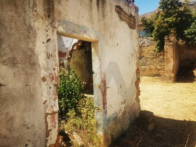 Terreno para Venda em Cartaxo e Vale da Pinta Foto 4