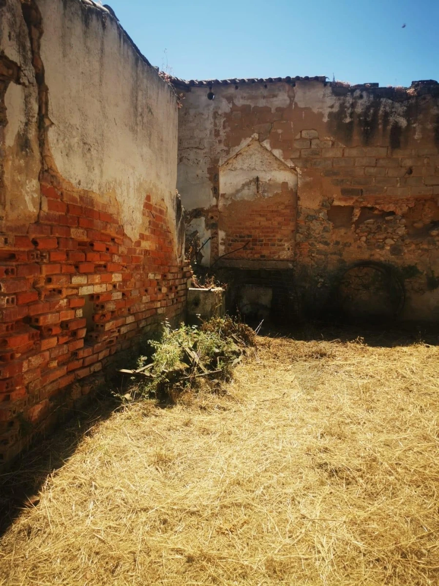 Terreno para Venda em Cartaxo e Vale da Pinta Foto 5