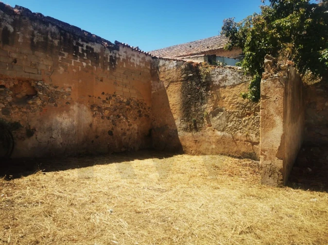 Terreno para Venda em Cartaxo e Vale da Pinta Foto 2