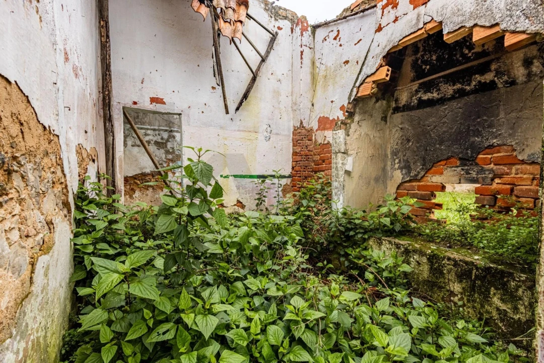 Terreno para Venda em Cartaxo e Vale da Pinta Foto 19
