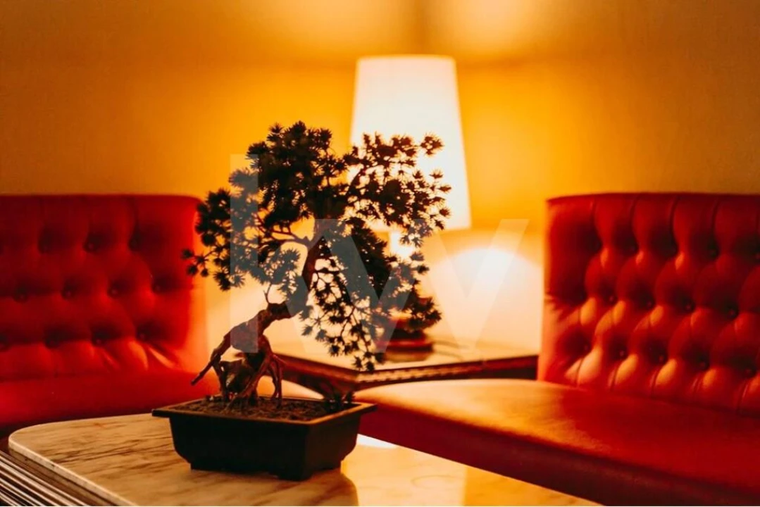 Negócio para Venda em Cesar Foto 12