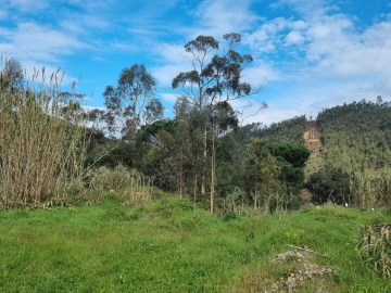 Terreno para Venda em Brasfemes