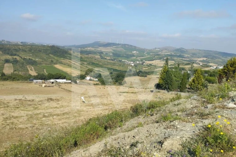 Terreno para Venda em Sobral de Monte Agraço Foto 6