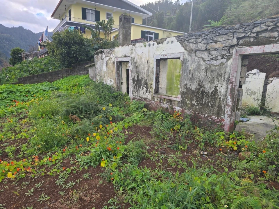 Terreno para Venda em São Roque do Faial Foto 15