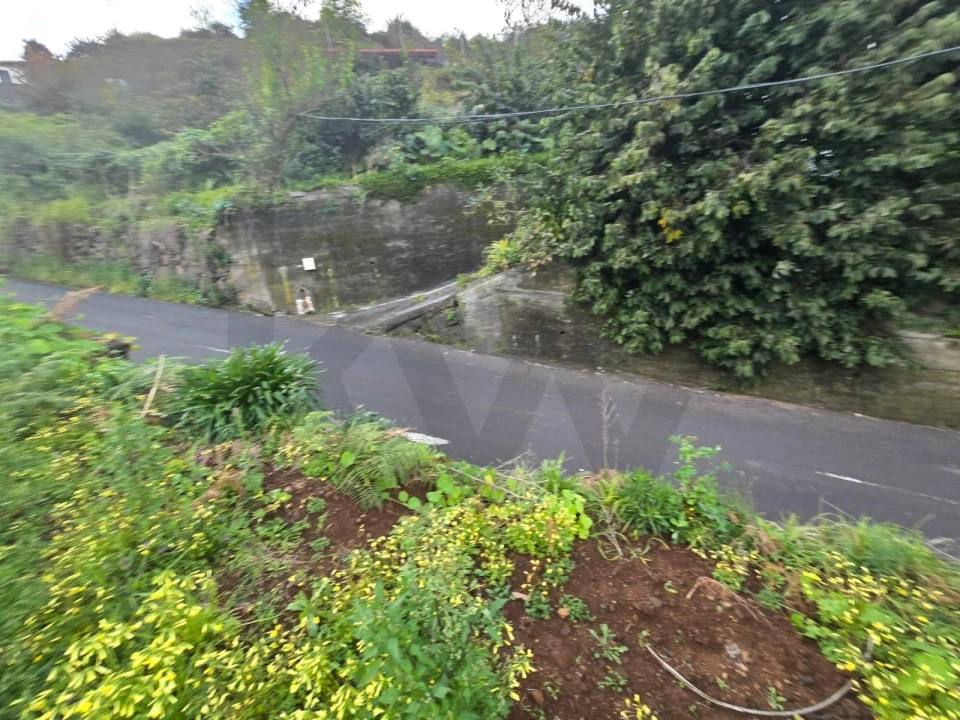 Terreno para Venda em São Roque do Faial Foto 10