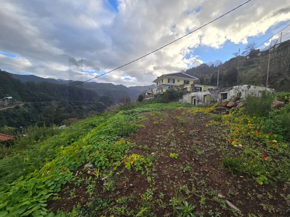Terreno para Venda em São Roque do Faial Foto 1