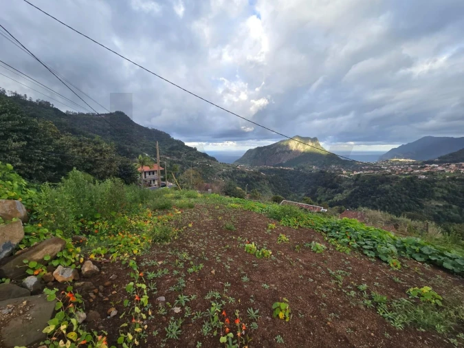 Terreno para Venda em São Roque do Faial Foto 4