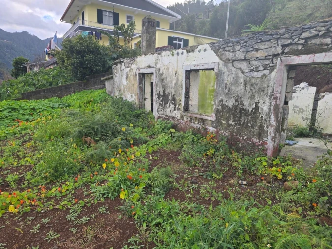 Terreno para Venda em São Roque do Faial Foto 15