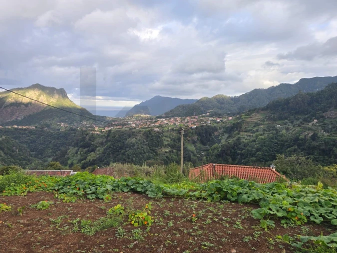 Terreno para Venda em São Roque do Faial Foto 7