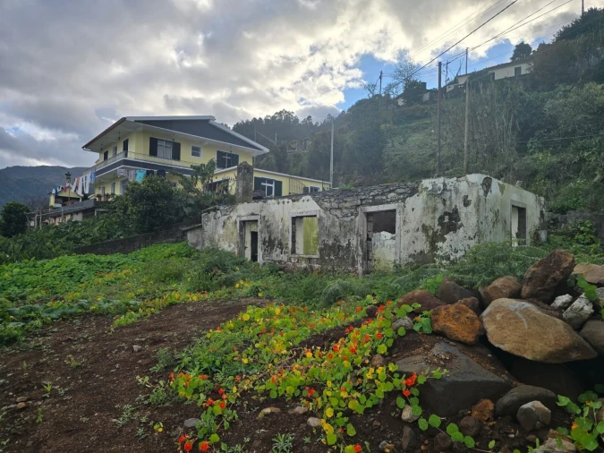 Terreno para Venda em São Roque do Faial Foto 16