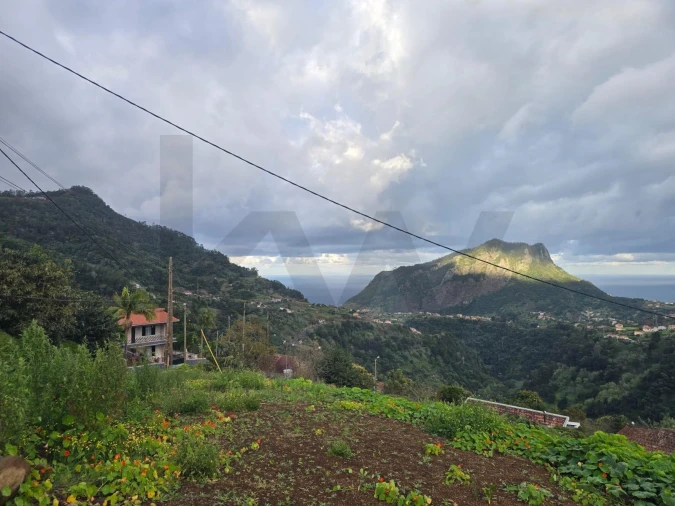 Terreno para Venda em São Roque do Faial Foto 12