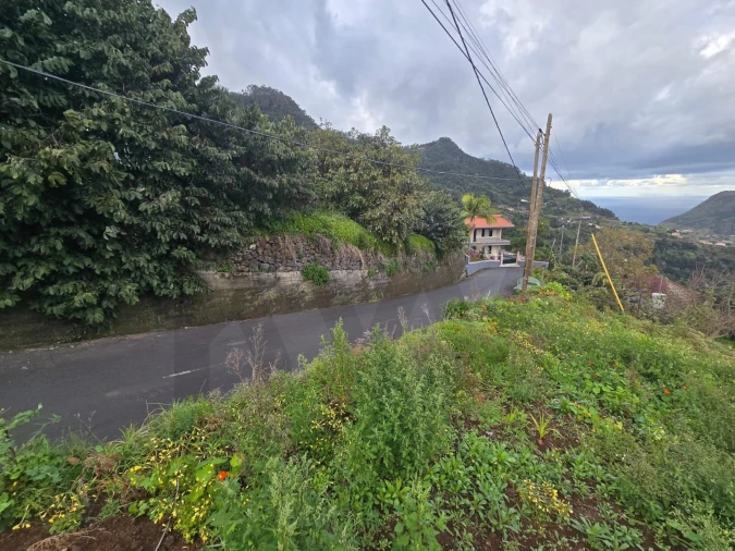 Terreno para Venda em São Roque do Faial Foto 8