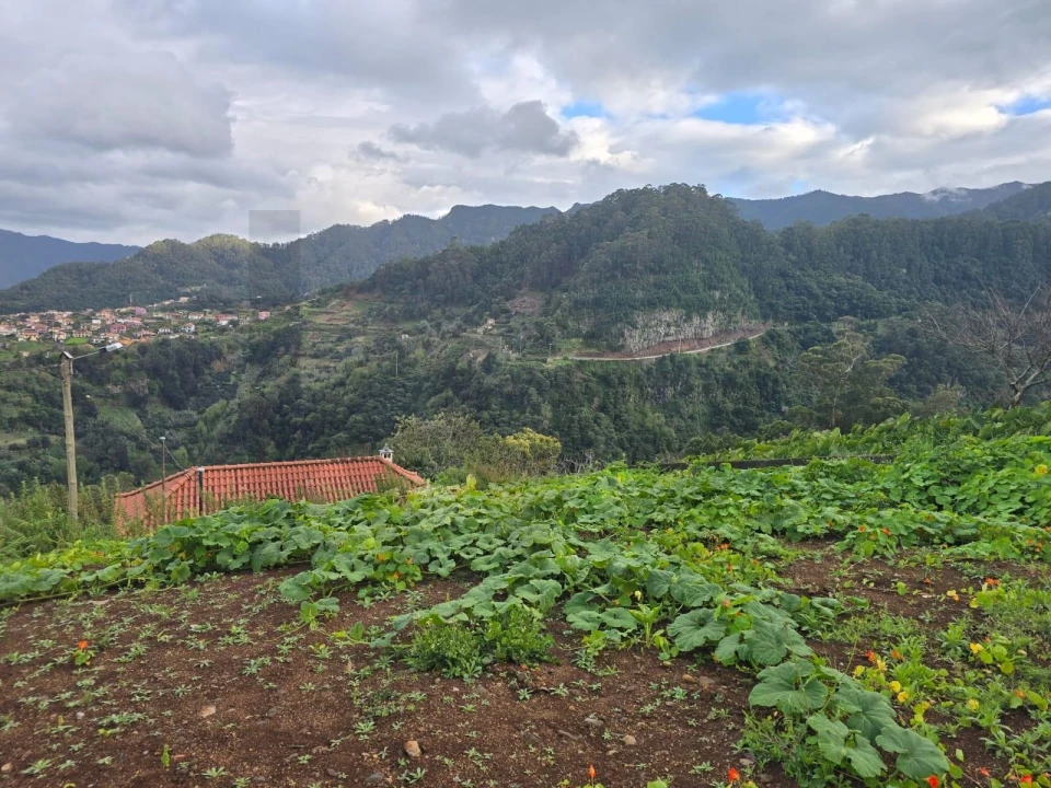 Terreno para Venda em São Roque do Faial Foto 6