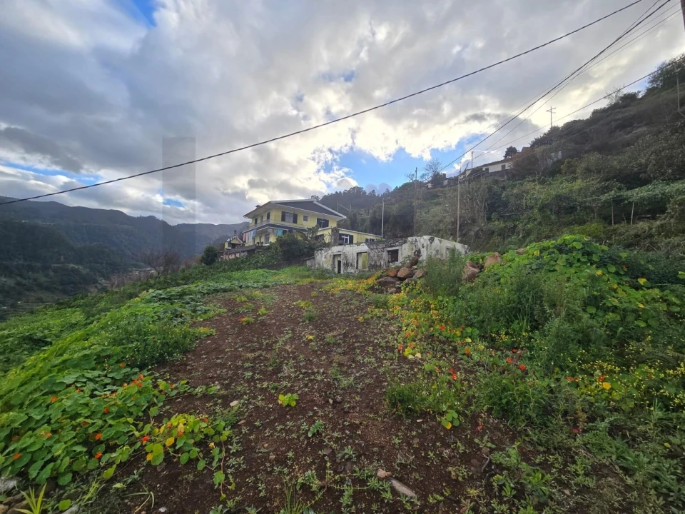 Terreno para Venda em São Roque do Faial Foto 3