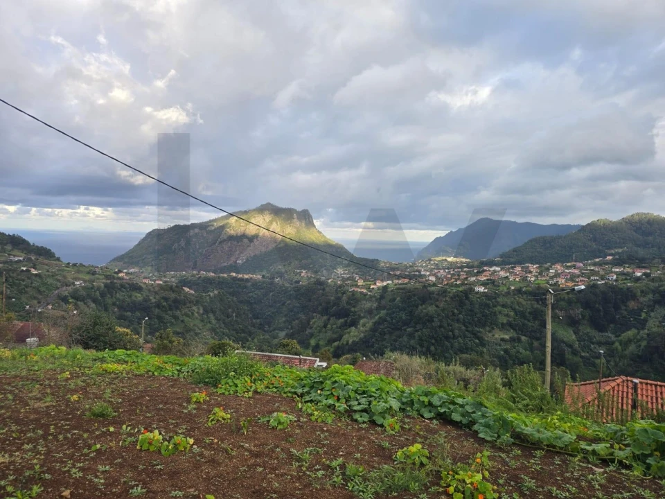 Terreno para Venda em São Roque do Faial Foto 11