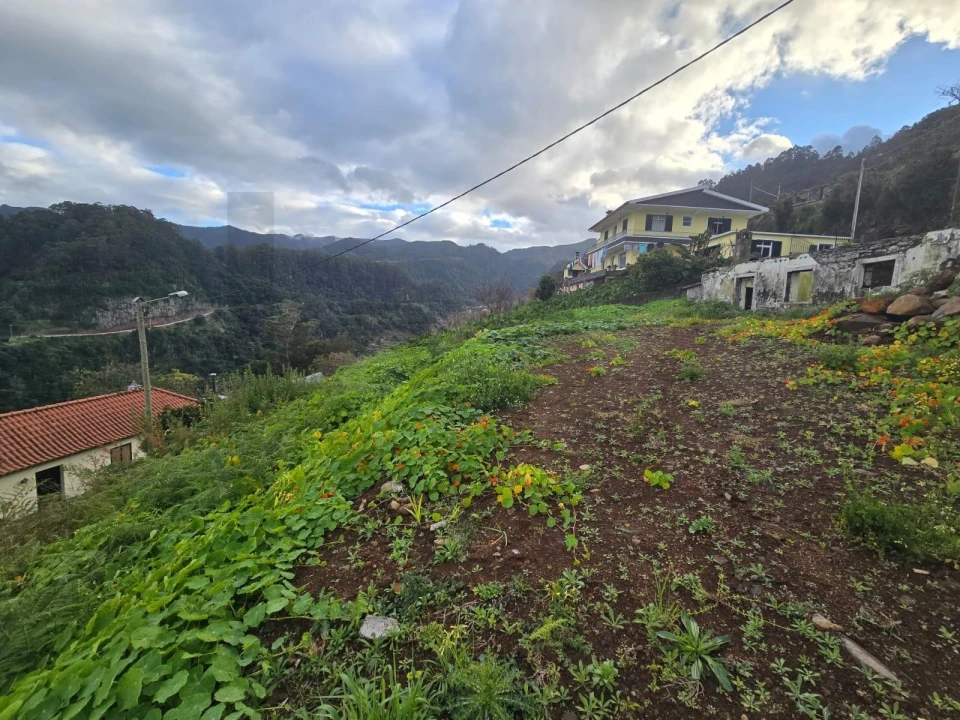 Terreno para Venda em São Roque do Faial Foto 9