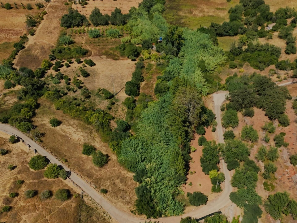 Terreno para Venda em Salir Foto 10