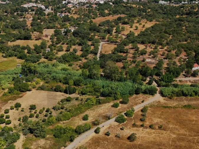 Terreno para Venda em Salir Foto 6