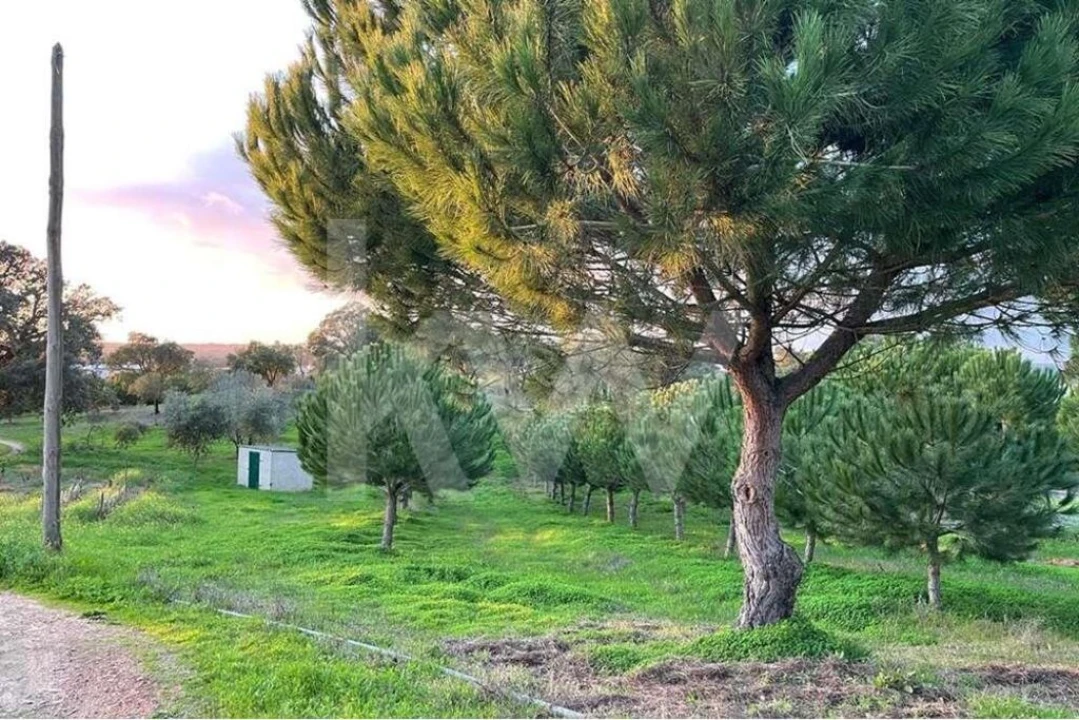 Terreno para Venda em Santiago do Cacém, Santa Cruz e São Bartolomeu da Serra Foto 7