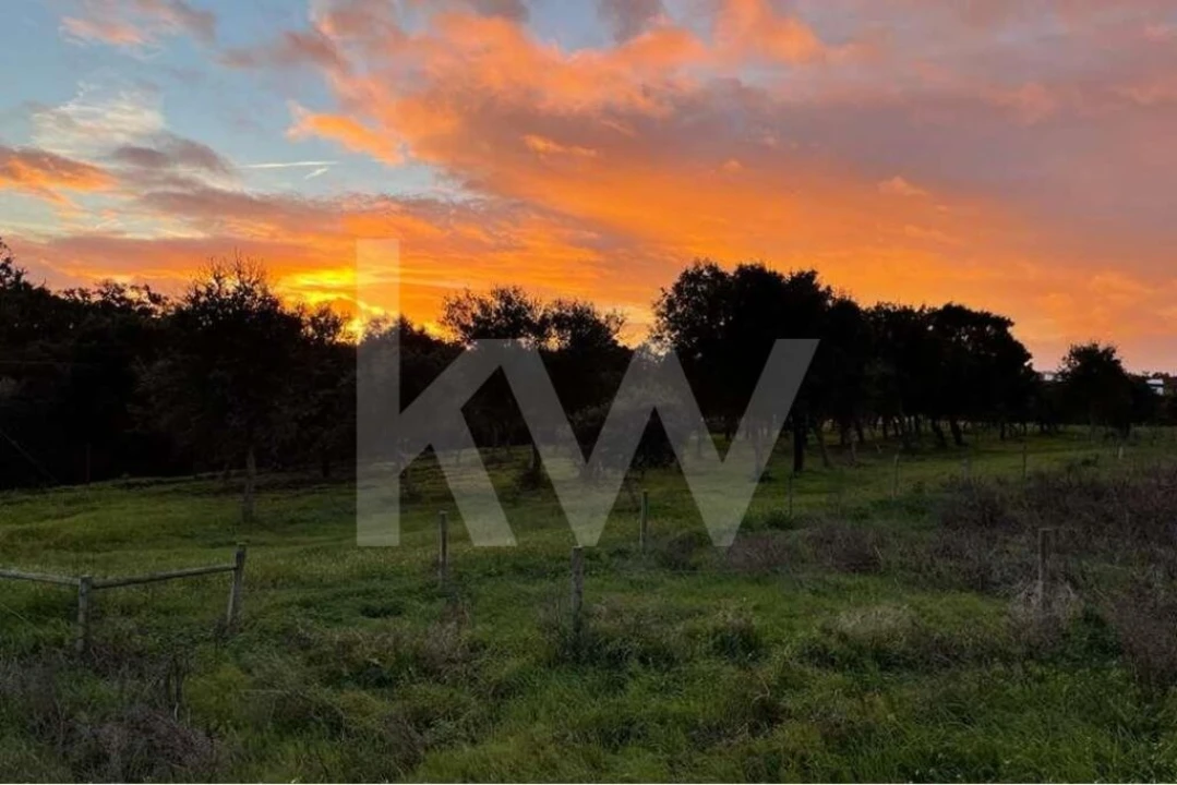 Terreno para Venda em Santiago do Cacém, Santa Cruz e São Bartolomeu da Serra Foto 2