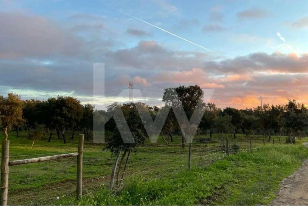 Terreno para Venda em Santiago do Cacém, Santa Cruz e São Bartolomeu da Serra Foto 8