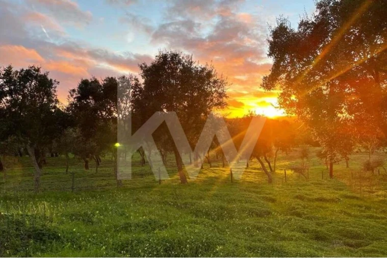 Terreno para Venda em Santiago do Cacém, Santa Cruz e São Bartolomeu da Serra Foto 1