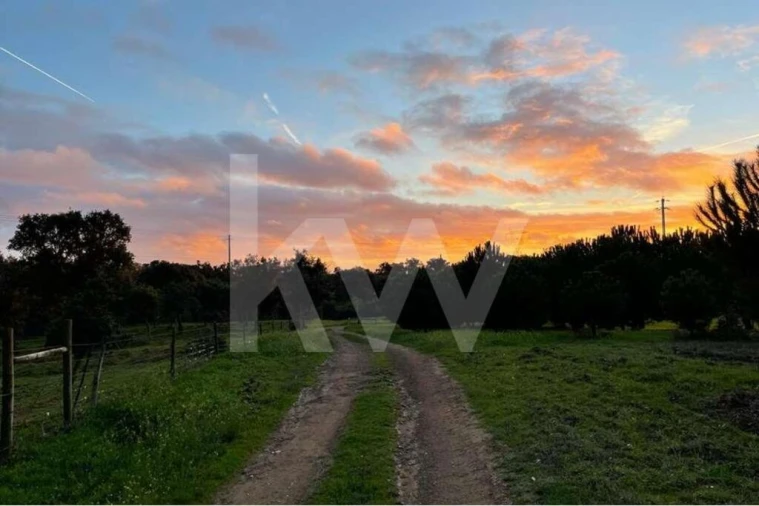Terreno para Venda em Santiago do Cacém, Santa Cruz e São Bartolomeu da Serra Foto 9