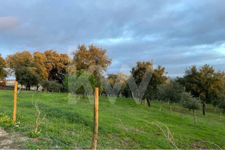 Terreno para Venda em Santiago do Cacém, Santa Cruz e São Bartolomeu da Serra Foto 5