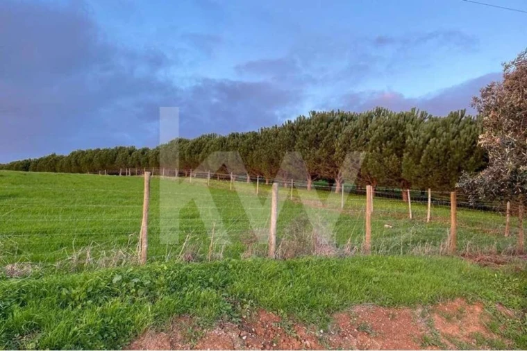 Terreno para Venda em Santiago do Cacém, Santa Cruz e São Bartolomeu da Serra Foto 11