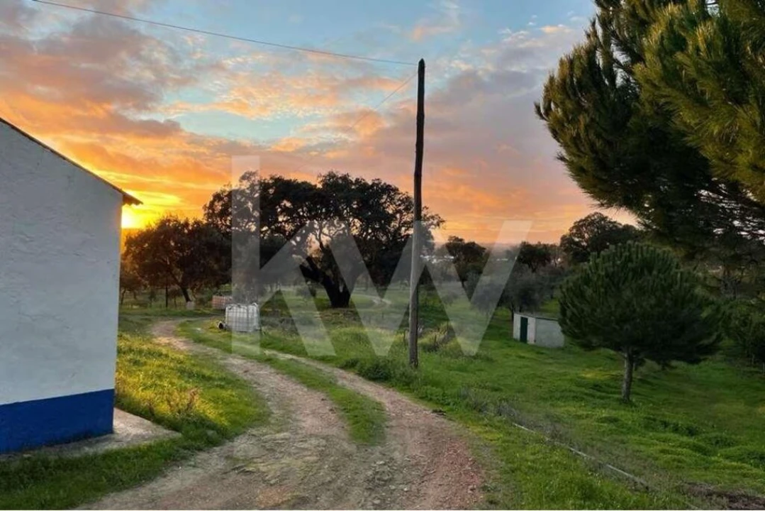 Terreno para Venda em Santiago do Cacém, Santa Cruz e São Bartolomeu da Serra Foto 3