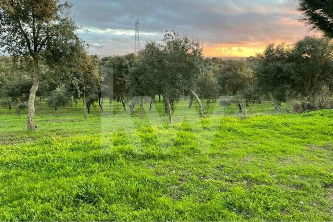 Terreno para Venda em Santiago do Cacém, Santa Cruz e São Bartolomeu da Serra Foto 6