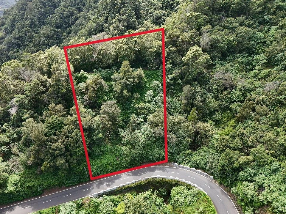 Terreno para Venda em São Roque do Faial Foto 20