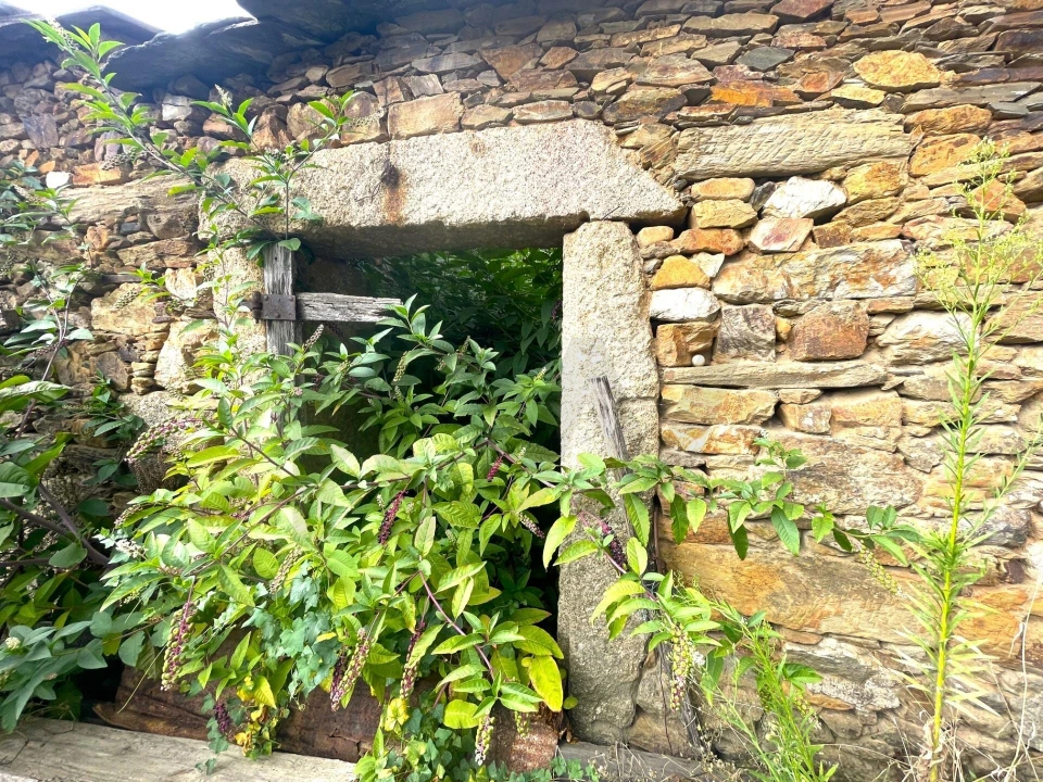 Moradia T6 para Venda em Santa Maria de Sardoura Foto 16