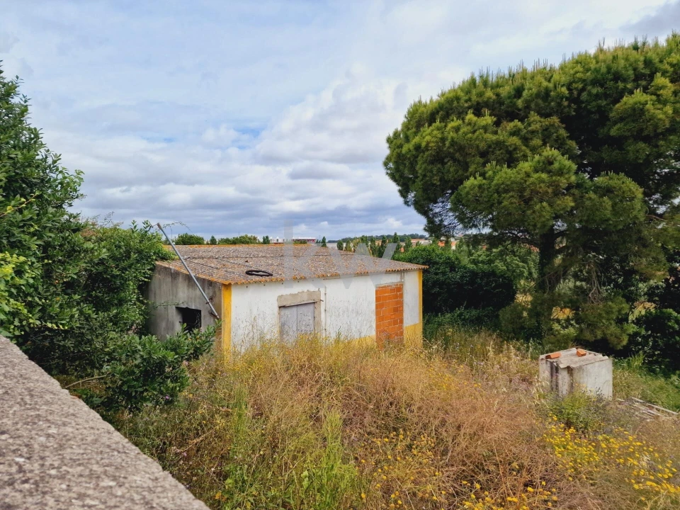 Terreno para Venda em Cartaxo e Vale da Pinta Foto 14