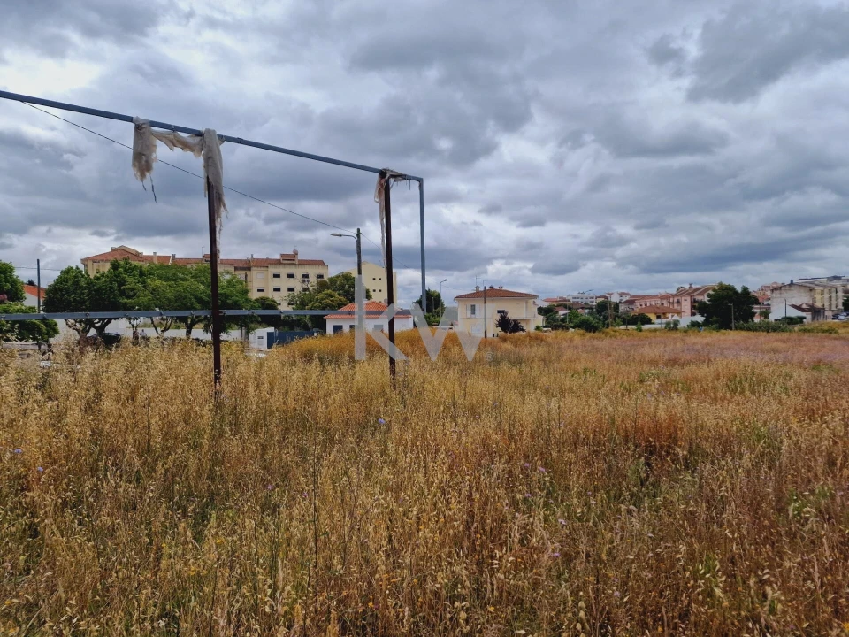 Terreno para Venda em Cartaxo e Vale da Pinta Foto 9