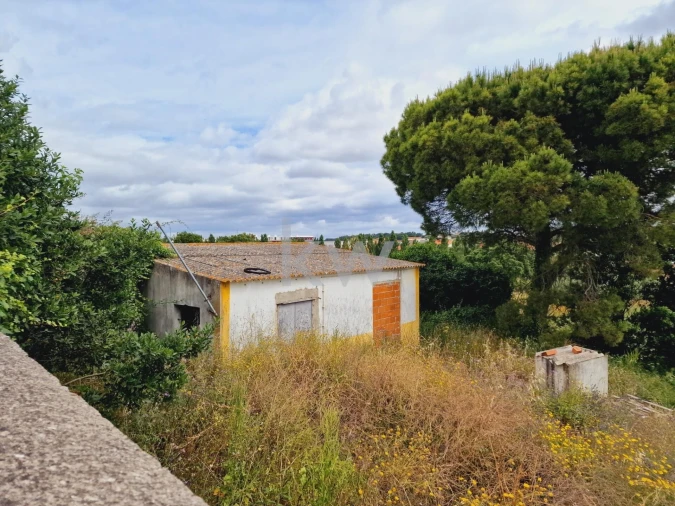 Terreno para Venda em Cartaxo e Vale da Pinta Foto 14