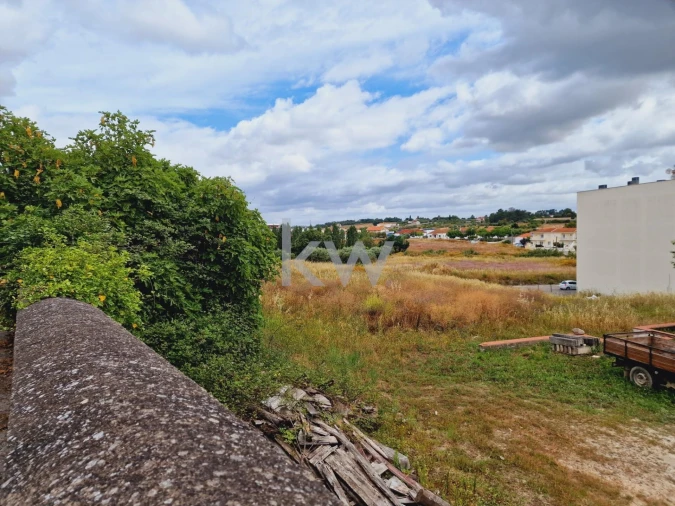 Terreno para Venda em Cartaxo e Vale da Pinta Foto 5