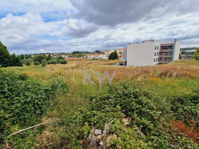 Terreno para Venda em Cartaxo e Vale da Pinta Foto 10