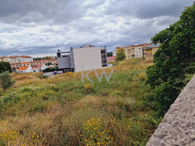 Terreno para Venda em Cartaxo e Vale da Pinta Foto 15