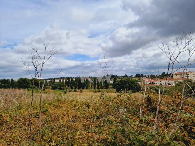 Terreno para Venda em Cartaxo e Vale da Pinta Foto 13