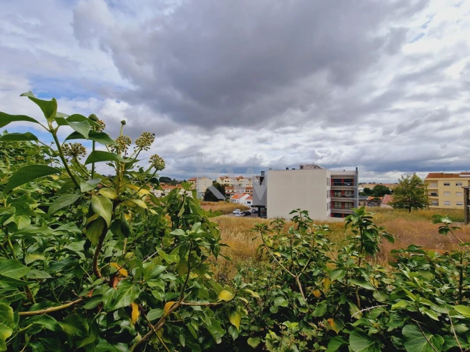 Terreno para Venda em Cartaxo e Vale da Pinta Foto 16