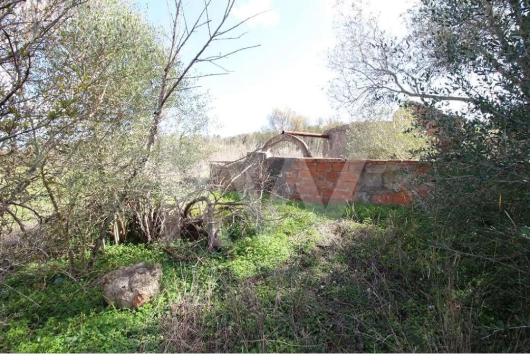 Terreno para Venda em Alcantarilha e Pêra Foto 11