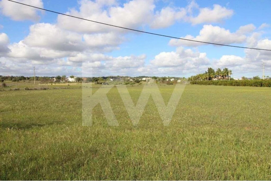 Terreno para Venda em Alcantarilha e Pêra Foto 22
