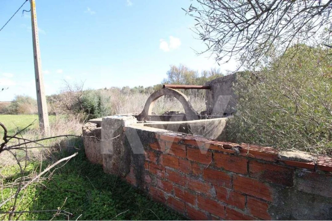 Terreno para Venda em Alcantarilha e Pêra Foto 10