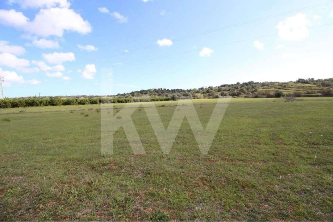 Terreno para Venda em Alcantarilha e Pêra Foto 3