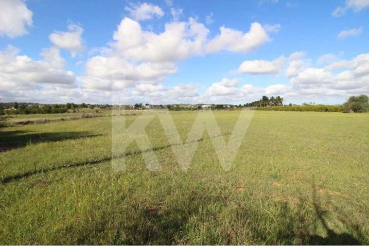 Terreno para Venda em Alcantarilha e Pêra Foto 18