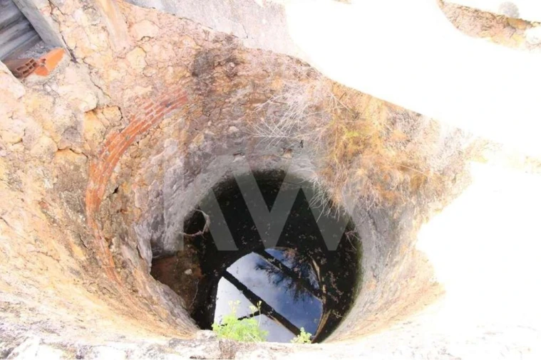 Terreno para Venda em Alcantarilha e Pêra Foto 14