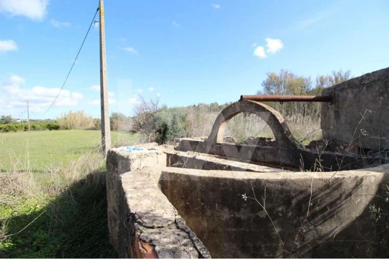 Terreno para Venda em Alcantarilha e Pêra Foto 2