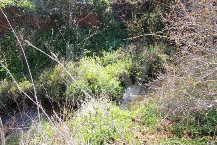 Terreno para Venda em Alcantarilha e Pêra Foto 21