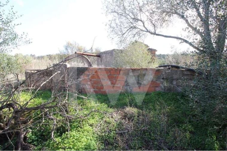 Terreno para Venda em Alcantarilha e Pêra Foto 6